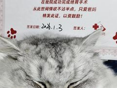 -御宝贝24h宠物医院·转诊中心·CT核磁血透中心(厦门总院)