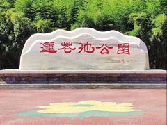 -莲花池公园