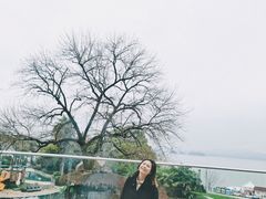 -绿城千岛湖喜来登度假酒店