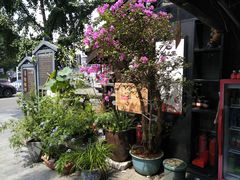 入口-老地方猫儿面(磁器口店)