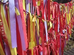 -七仙岭温泉国家森林公园