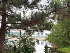 -莫内艺术岛海景咖啡