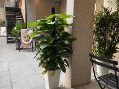 -Money Shops(愚园路店)