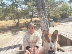 -济南国际园博园