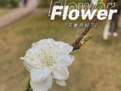 -杭州植物园