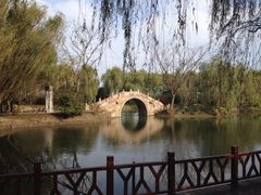 浦江之首-浦江之首