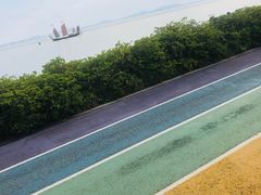 -贡湖湾湿地公园
