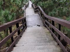 -龙门崮风景区