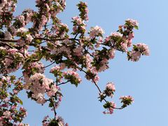 -京津佛罗伦萨小镇