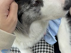 -泰合玺·精油疗愈SPA(虹悦城店)