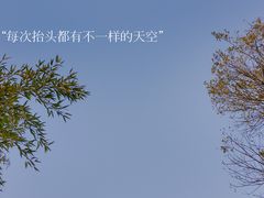 -诗经里