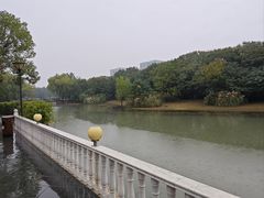 -长广溪湿地公园