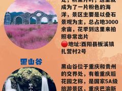 -人民解放纪念碑