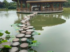 -西安浐灞国家湿地公园