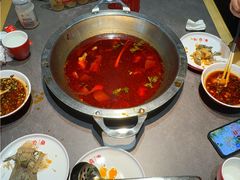 -蜀滋香鲜鱼美蛙火锅(339店)