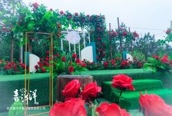 点击看大图 -喜洋洋婚庆