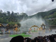 -西双版纳原始森林公园