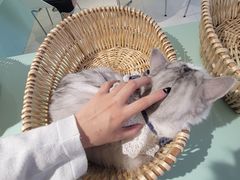 -怪兽屋·羊驼·猫咖·狗咖(俊华广场店)