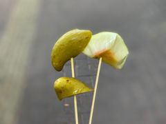 -阿群甘草水果