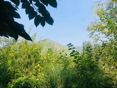 -幽岚山·童话森林