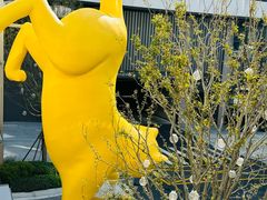 -深圳湾万象城(南山店)