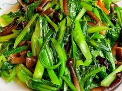 鸡枞菌炒菜心-老苏扬饭店