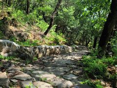 -阳台山自然风景区