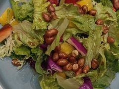 -朱记乳鸽王·非遗石岐乳鸽·全鸽宴(大兴旗舰店)