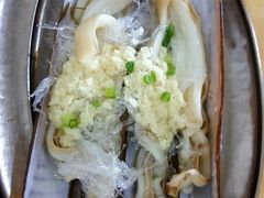 爱尔兰圣子皇-蚝专家(北滘店)