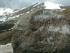 -SFC上影影城(南京新城市广场店)