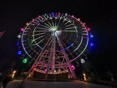 -马白开来特色羊排揪片子  (总店)