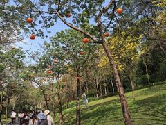 -云溪植物园