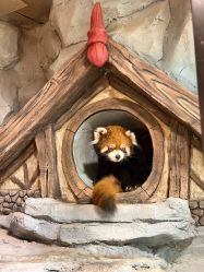 -Zoolung Zoolung动物主题公园(海信广场店)