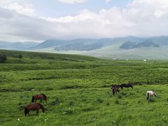 -新疆那拉提国家旅游度假区