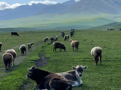 -新疆那拉提国家旅游度假区