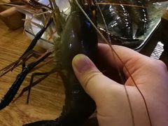 -Thai Basil罗勒叶泰式餐厅(时代天街店)