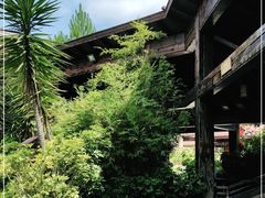 -韶关经律论国际酒店温泉