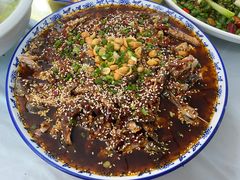 -铁山坪森林公园