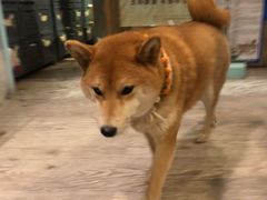 -小时光咖啡馆(北锣鼓巷店)