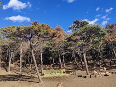 -沈阳森林动物园