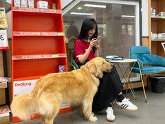 -联合动物医院(光谷诊疗中心)