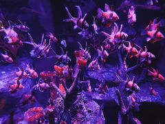 -沈阳海洋探索中心