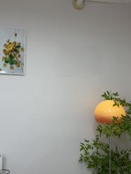 -变美丽半永久定妆连锁·纹眉·机器野生眉