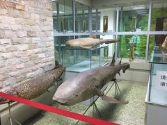 -四川大学博物馆