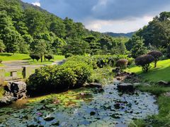 -深圳仙湖植物园