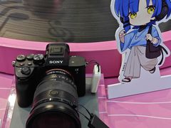 -Sony Store 索尼(上海淮海中路店)