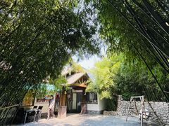 -清雅臻品·竹林院落·新派青岛菜(崂山店)