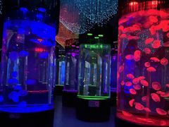 -南昌融创海世界