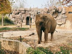 -济南野生动物世界