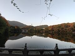 -杭州半山国家森林公园